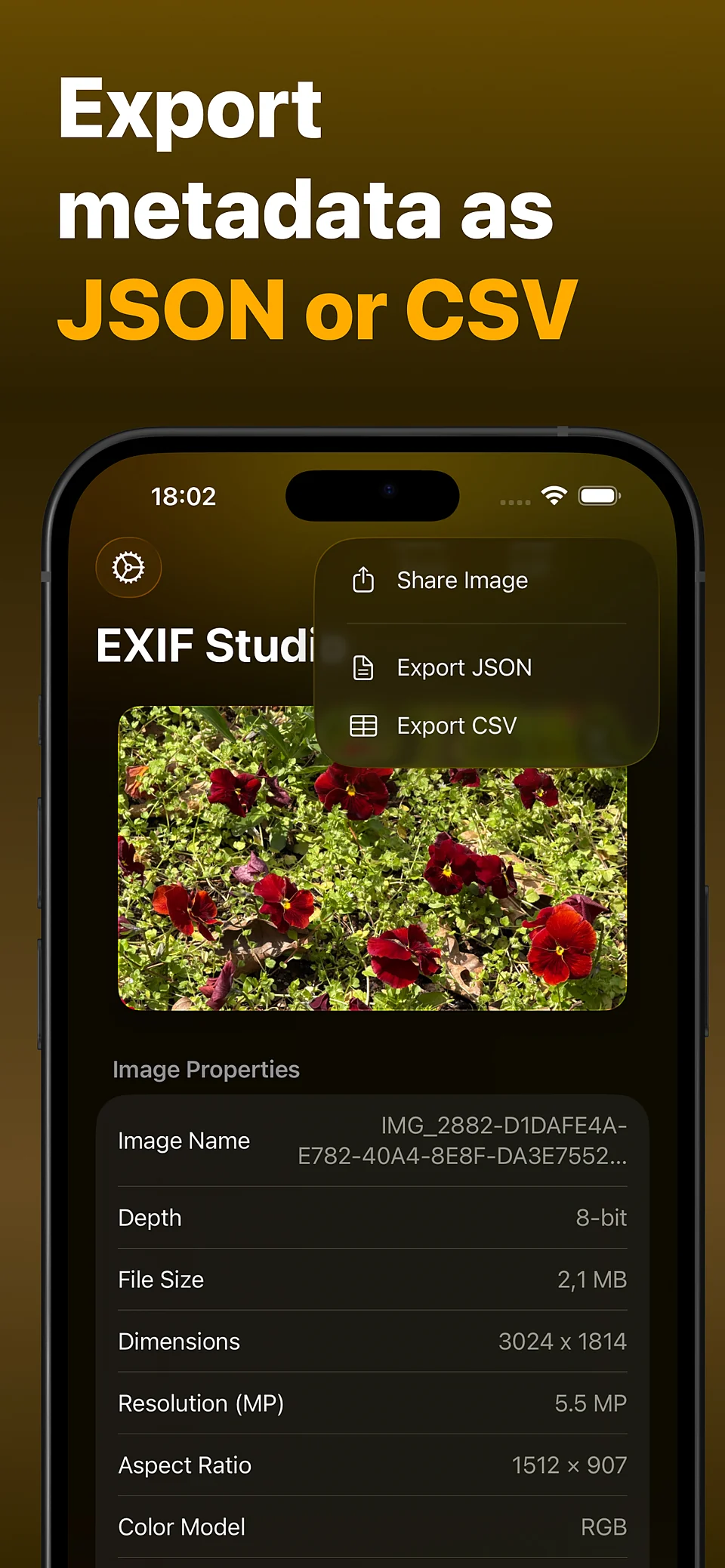 Exporting metadata as JSON or CSV